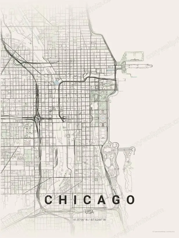 Chicago City Map Print - Print 1 artwork