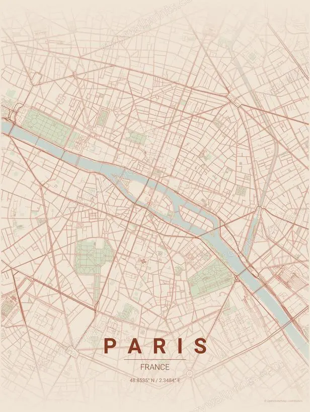 Paris City Map Print - Print 3 artwork