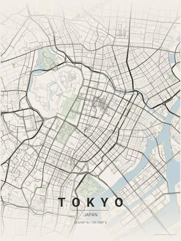 Tokyo City Map Print - Print 1 artwork