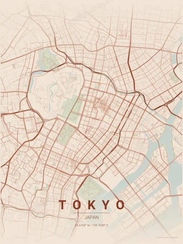 Tokyo City Map Print - Print 3 artwork